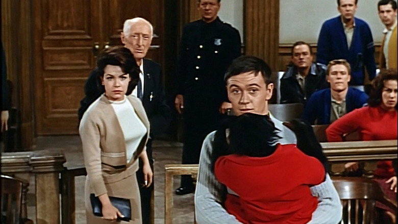 Imatge de The Misadventures of Merlin Jones