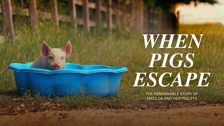 When Pigs Escape