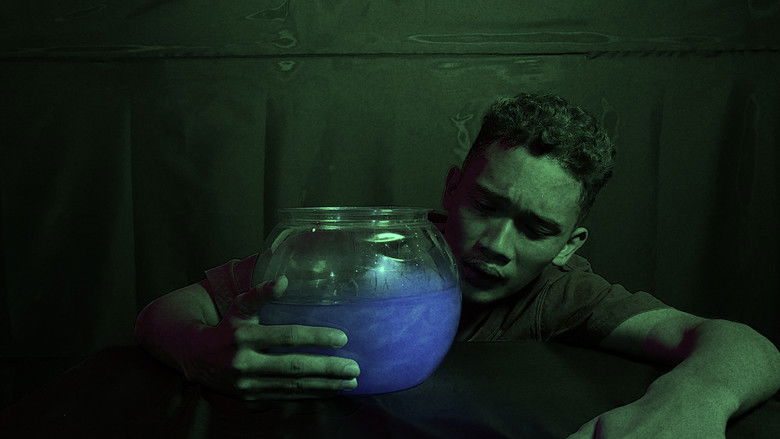 Imatge de shining, shimmering, ...splendid?