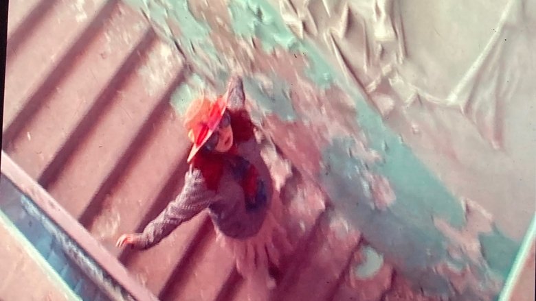 Gallery image from rTWu1grr04V2d81OM8rvE9bxTjf.jpg
