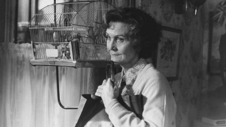 Gallery image from rUl6JmeiD7EdPek7ZKIahEVk7bq.jpg