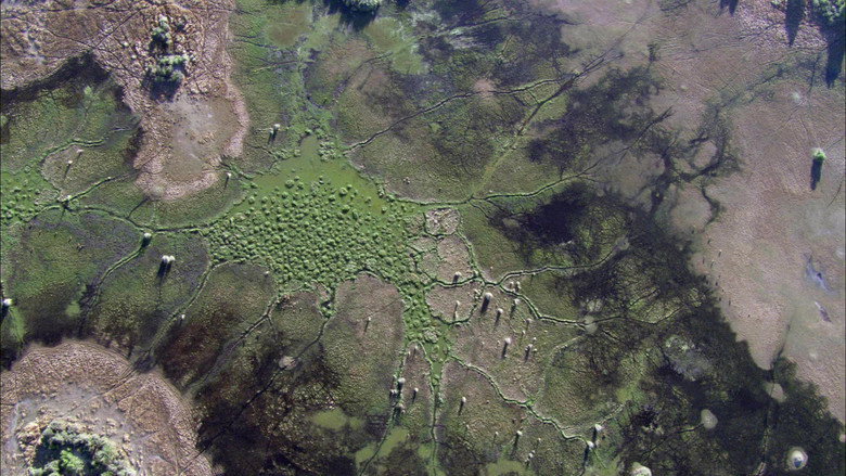 Still from Planet Earth - Season 1 Episode 1