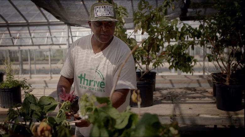 Gallery image from rVP8Y80JUnoX6CWiRFU9aV6FBnq.jpg