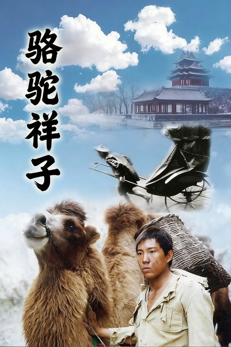骆驼祥子
