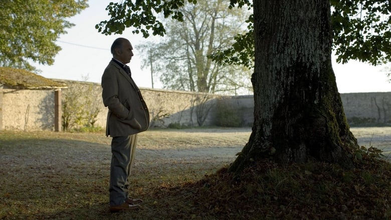 Voir L'arbre et la forêt en streaming vf gratuit sur streamizseries.net site special Films streaming