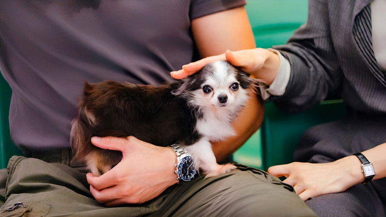 Gallery image from rWgbwSk1tYW9FuOLdoPBhN9UtIF.jpg