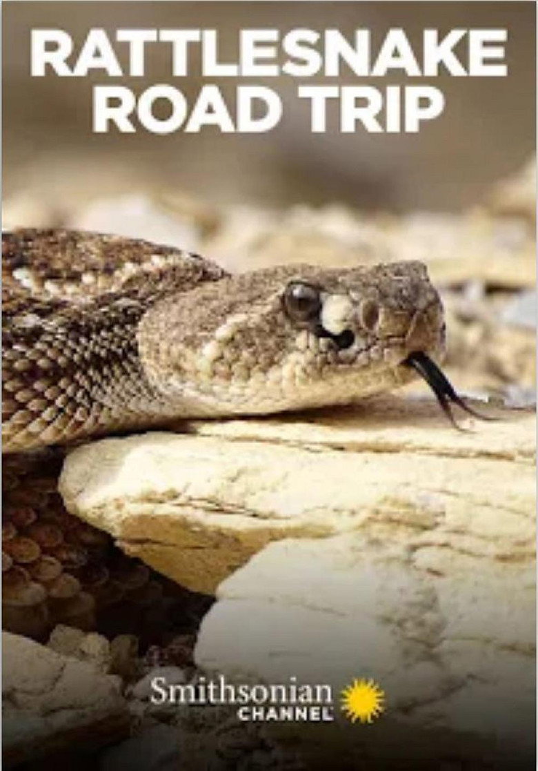Rattlesnake Road Trip background