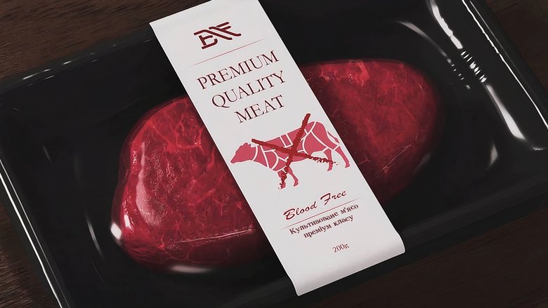 Gallery image from rXh3iJfZ2qUS9KTaqS9UQFIuql2.jpg