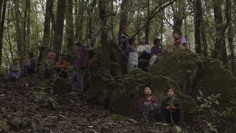 Gallery image from rY4GOjsr4sRFFwrbmj8Jkini1QQ.jpg