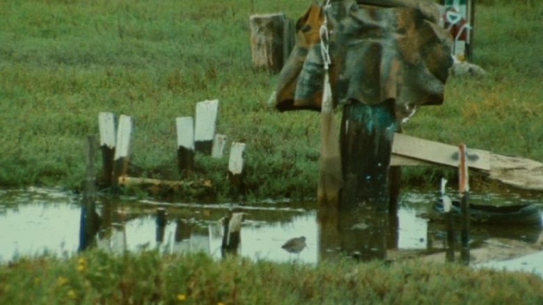 Junkopia (1981)