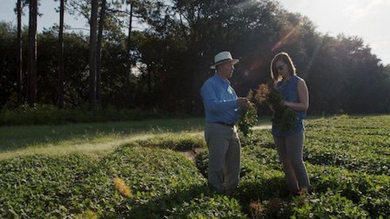 Still image for Rotten season 1 episode 2: The Peanut Problem Still image for Rotten season 1 episode 2: The Peanut Problem
