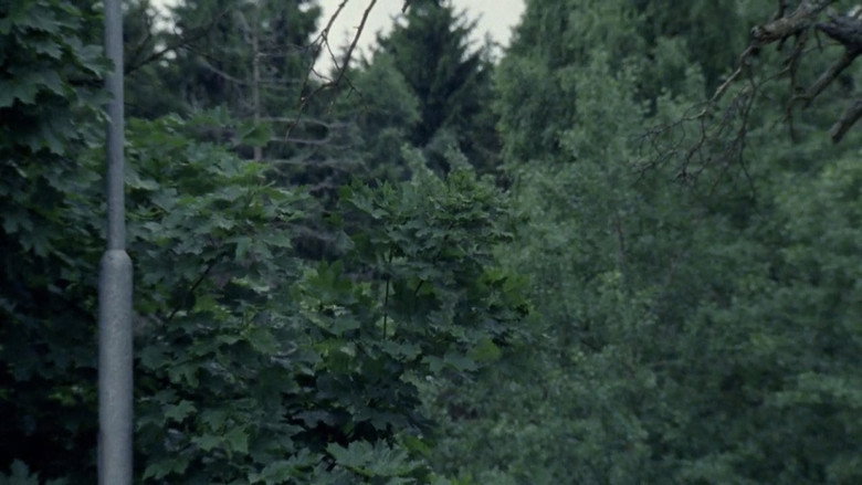 Still from Embarkation