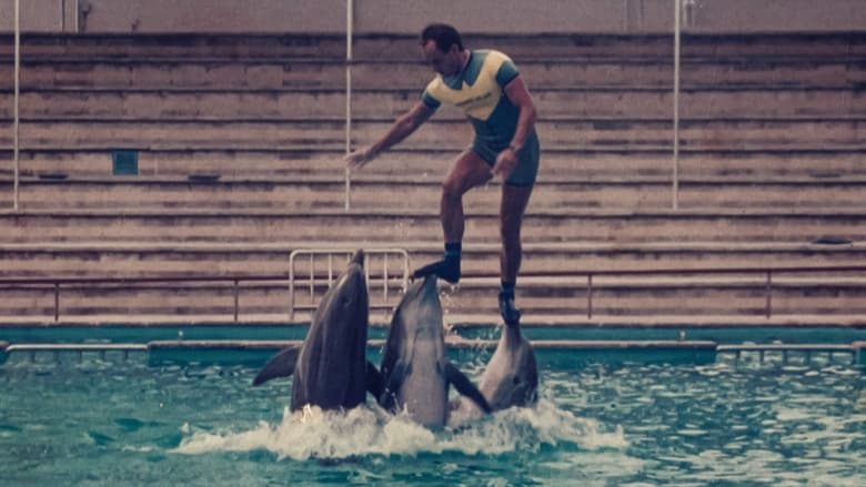 O Que Aconteceu com o Rei dos Golfinhos?