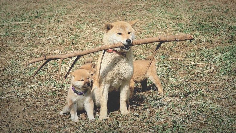 A Tale of Mari and Three Puppies movie poster