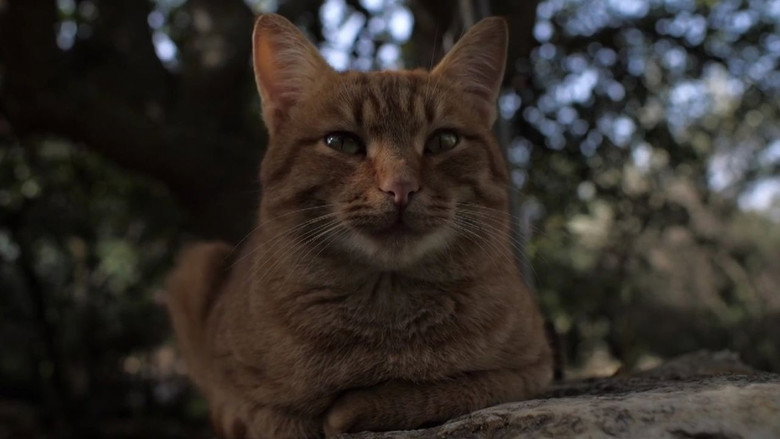 Imatge de Le chant d'Empédocle