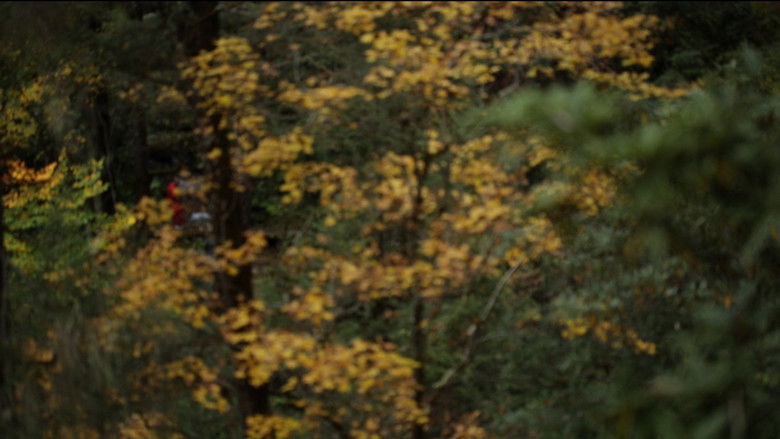 Imatge de Monk in the Forest