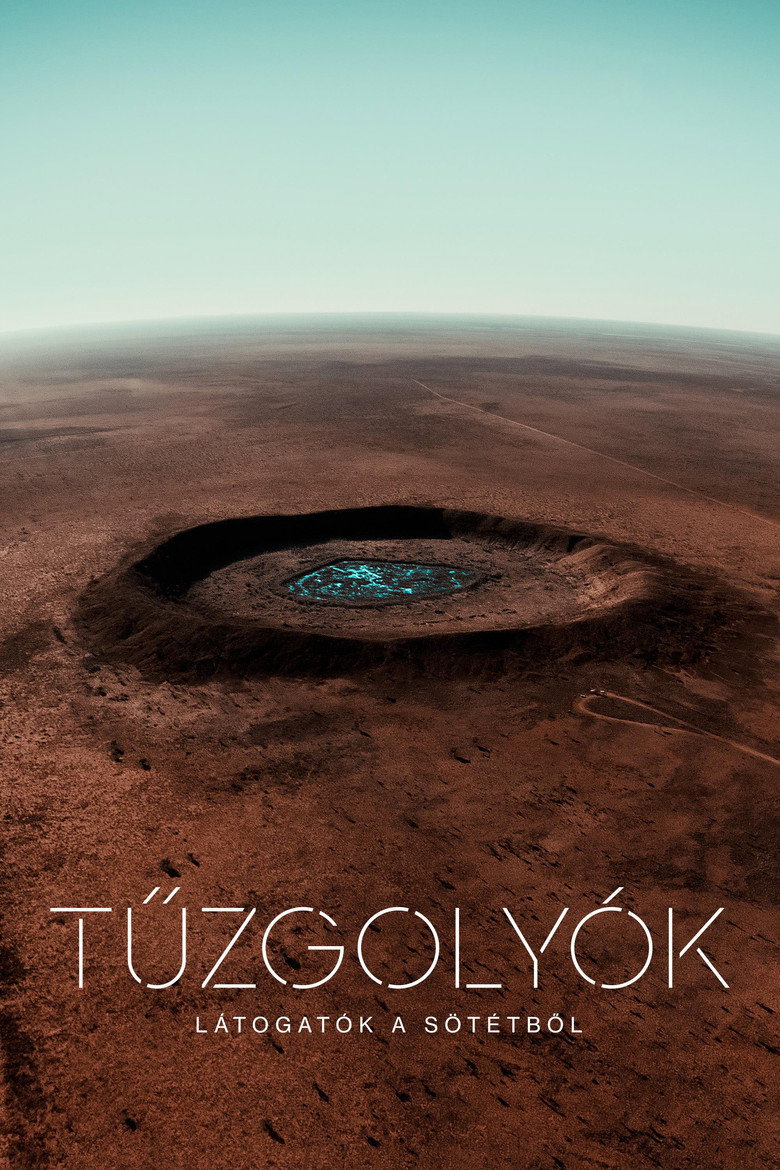 Tűzgoly&oacute;k: L&aacute;togat&oacute;k a s&ouml;t&eacute;tből (2020)