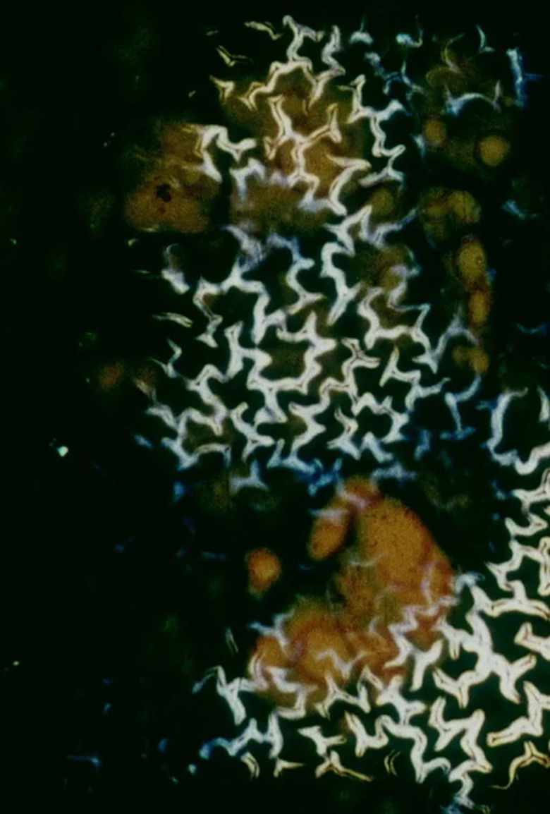 Imatge de 기억의 표면, 표면에 대한 기억