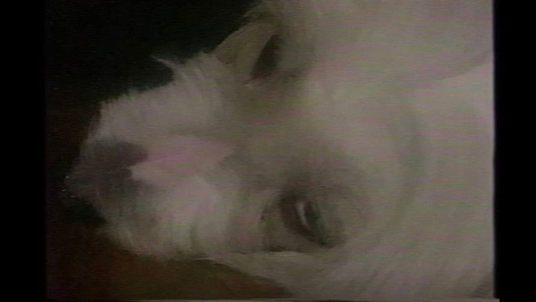 Imatge de နှင်းစက်