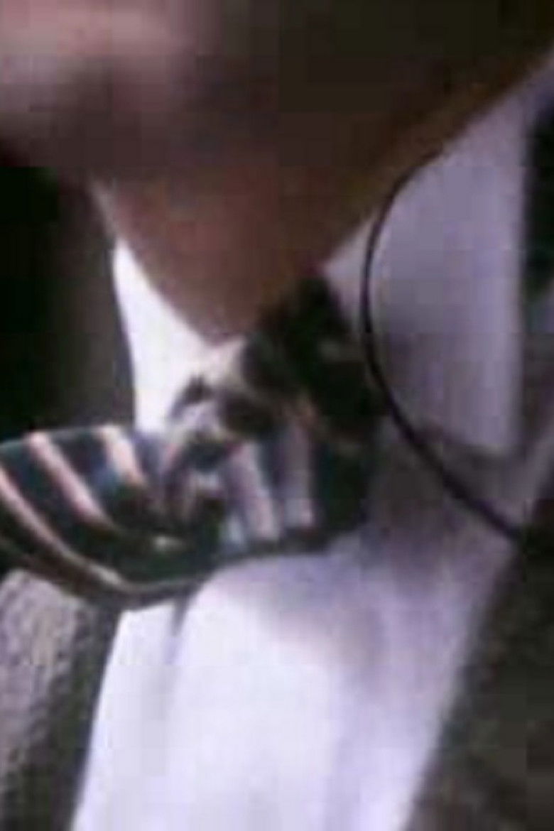 Imatge de The Wedding