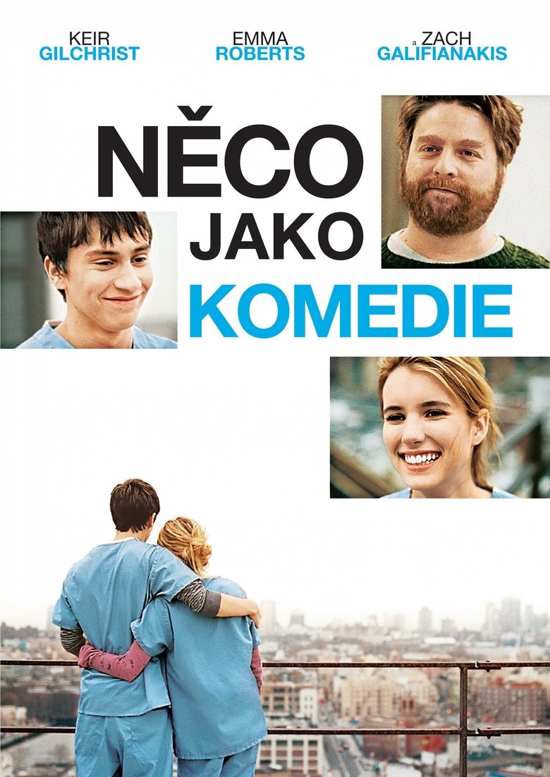 Něco jako komedie (2010)