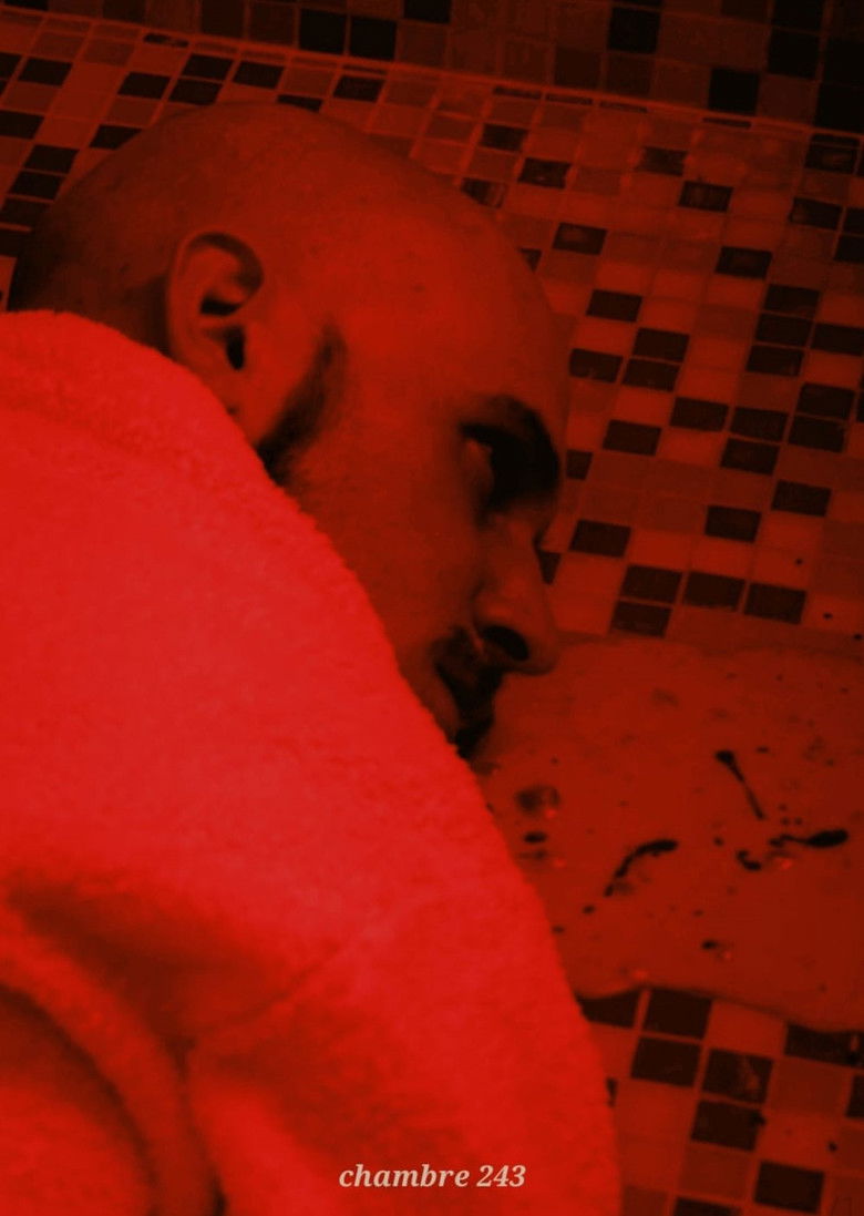 Imatge de Chambre 243