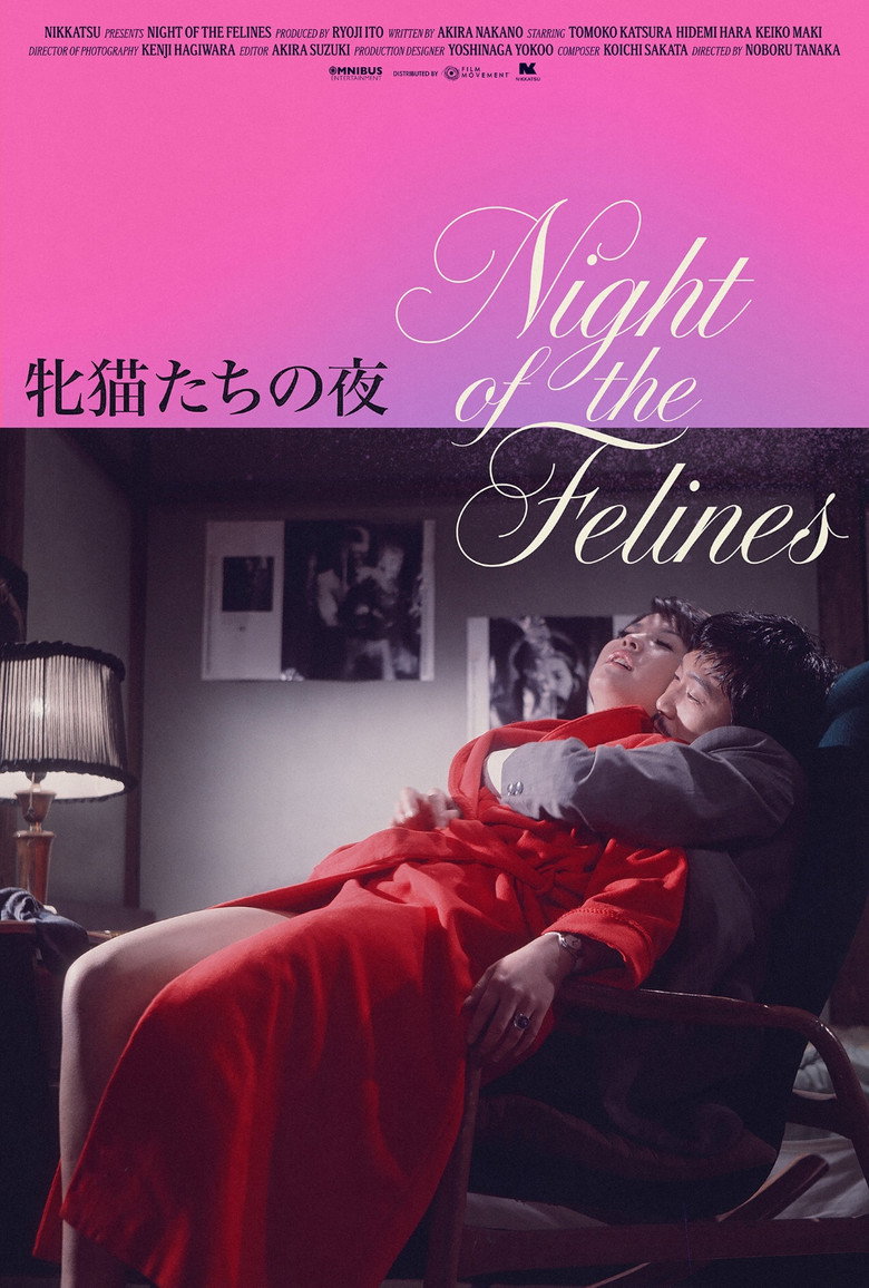 Night of the Felines