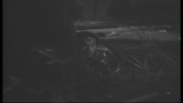 Gallery image from rboohgjHcp2iu6kgCWtLB6yk9aV.jpg