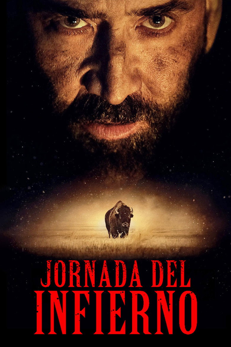 Póster la Película