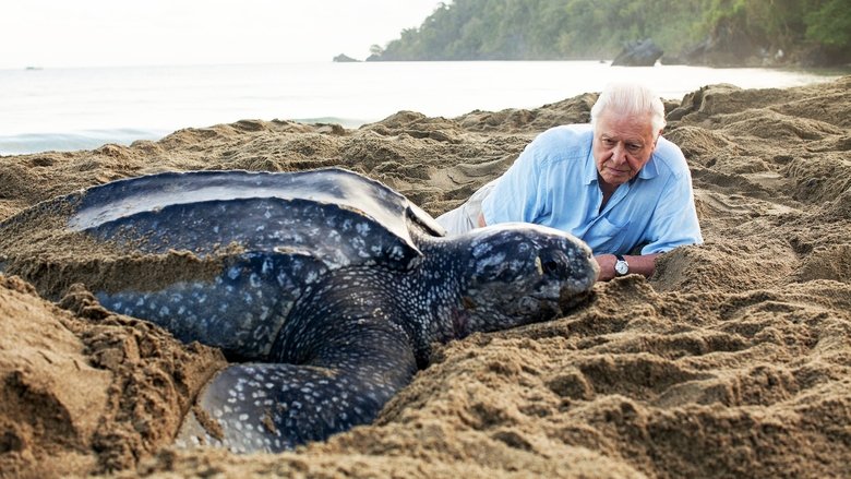 where to watch blue planet where to watch blue planet