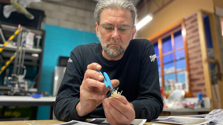 Still image for Tiny Oz season 1 episode 1: Sydney