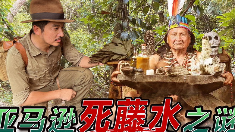 Episode 313