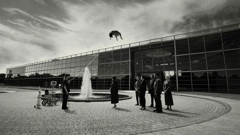 Rdkxw5dlhvzqcaubz0gd0mo3o1m