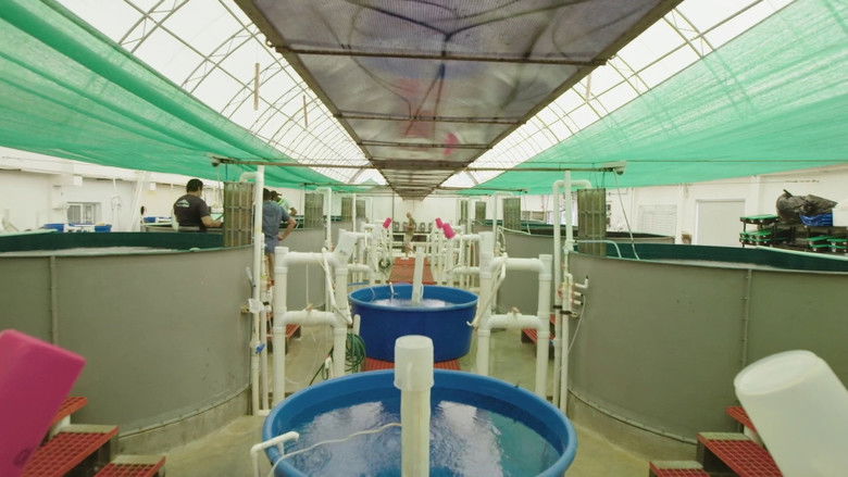 Still image for Impossible Repairs season 1 episode 5: Deep Sea Fish Delivery Still image for Impossible Repairs season 1 episode 5: Deep Sea Fish Delivery