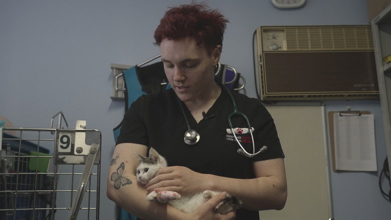 The Clinic Photo 3