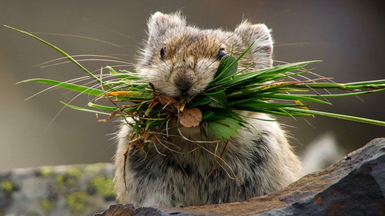 Still image for When Nature Calls with Helen Mirren season 1 episode 1: Let's Begin at the Beginning
