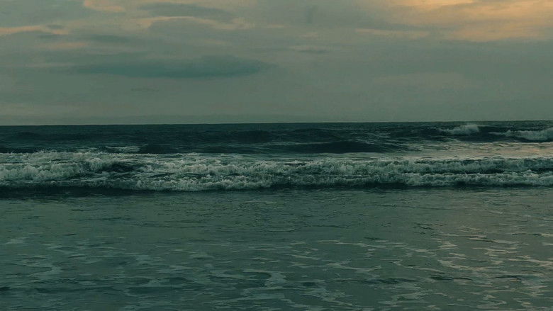 Gallery image from reHPkC1ve5XOeVln0MTumg3w8EL.jpg