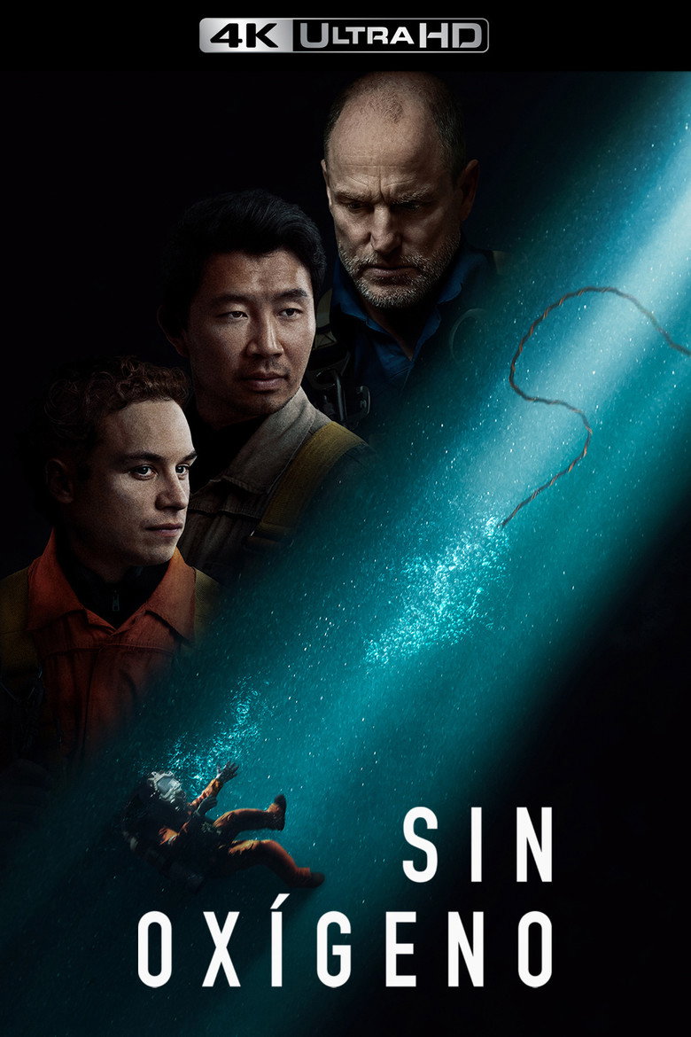 Póster la Película