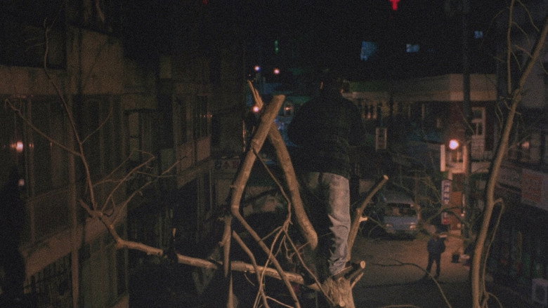 Oasis — image 17