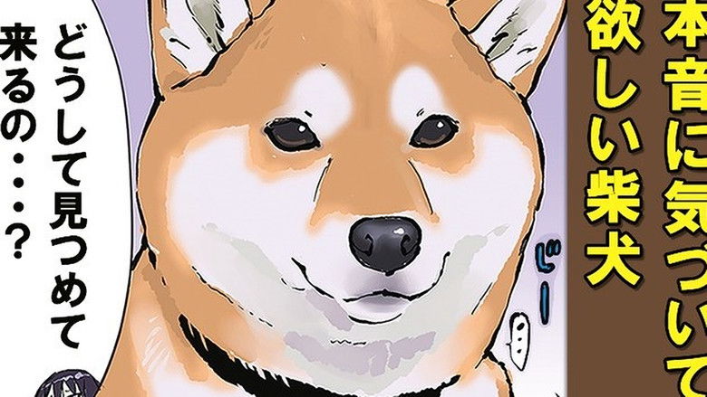 Still image for Doomsday with My Dog season 1 episode 54: Autumn Leaf Burning / Kokkuri-san Still image for Doomsday with My Dog season 1 episode 54: Autumn Leaf Burning / Kokkuri-san