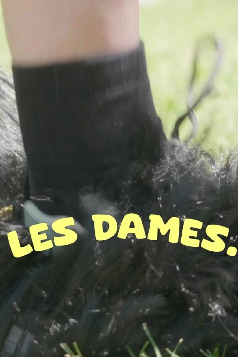 Imatge de LES DAMES.