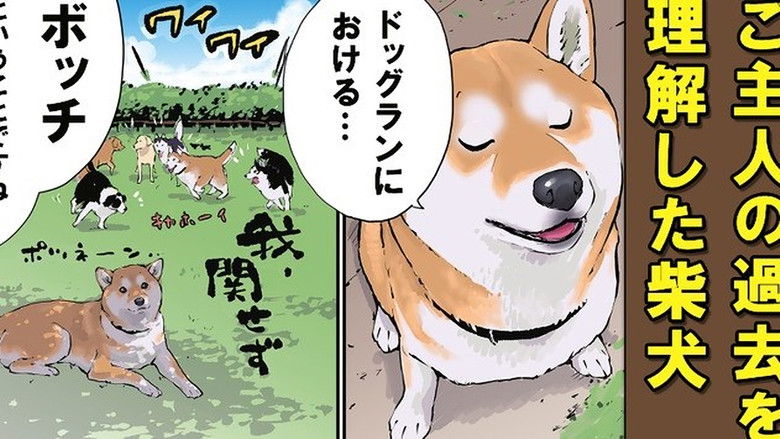 Still image for Doomsday with My Dog season 1 episode 57: Survival and Adaptation Still image for Doomsday with My Dog season 1 episode 57: Survival and Adaptation