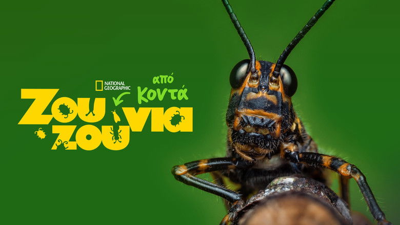 Gallery image from rguf5zwigkev36hKig0Kll79Tnw.jpg