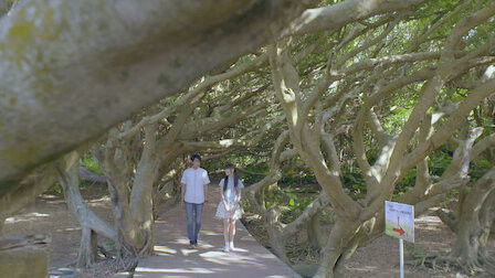 Still image for Miss in Kiss season 1 episode 29: Episode 29