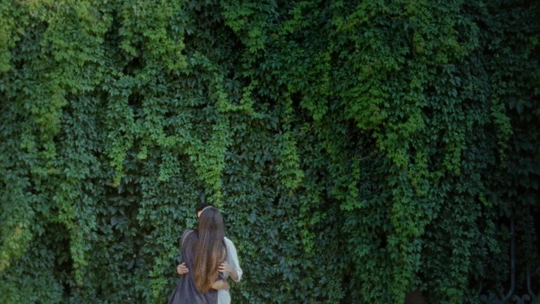 Imatge de Estados generales