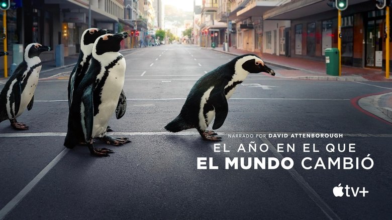 El año en el que el mundo cambió (2021)