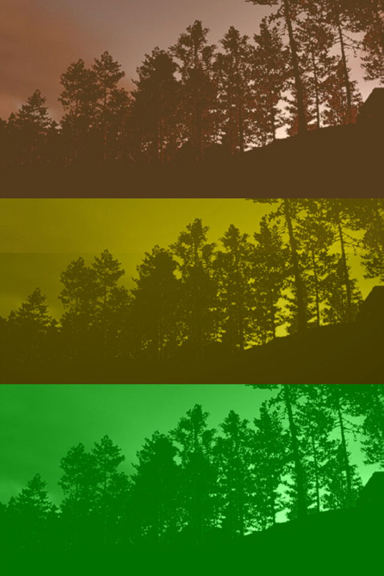 Imatge de Consumindo Espirais