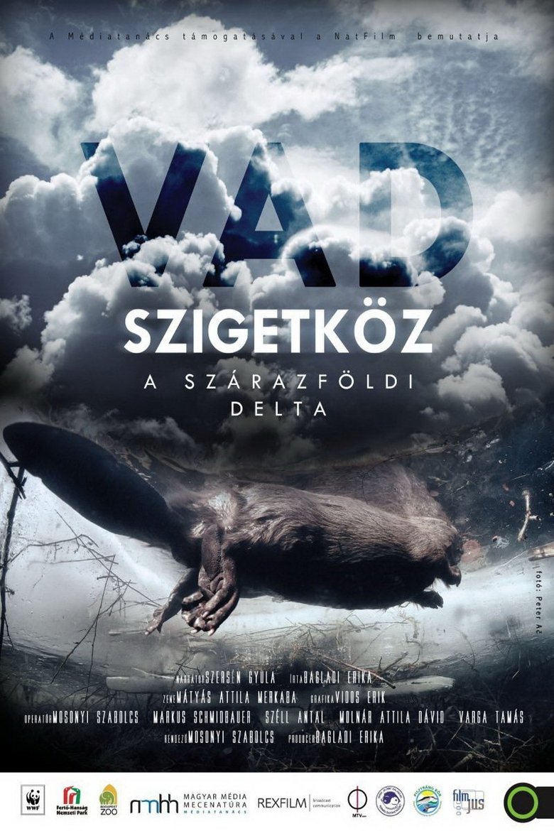 Szigetköz - The Inland Delta of the River Danube main poster