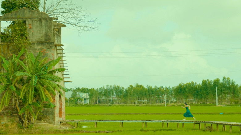 Image d'arrière-plan 1 du film 미트 세이비카