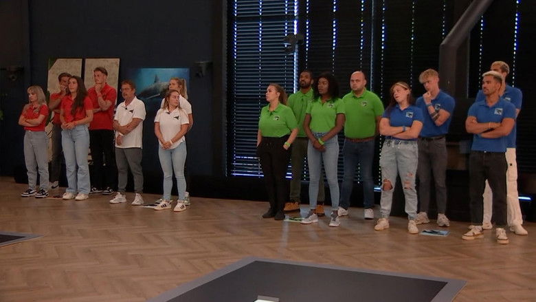 Still image for De Bondgenoten season 1 episode 206: Episode 206